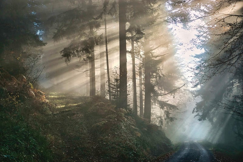 Mystical Music