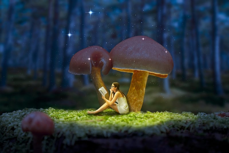 Fairy Tale Frocks