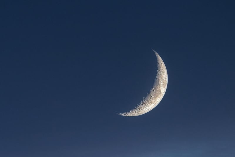 Moon Phases Wall Art